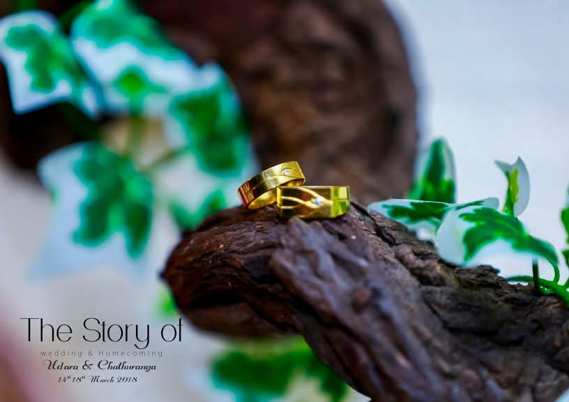 Wedding Album 4